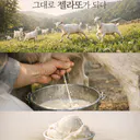 산양우유 젤라또